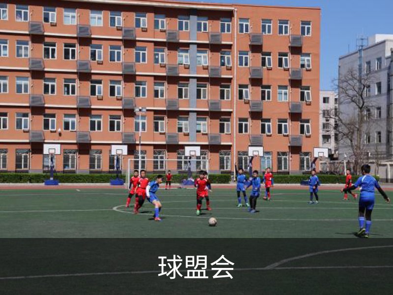 了解球盟会